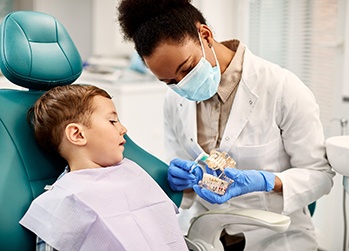 Dentist showing child a model of teeth